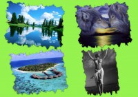 /album/fotogaleria/collge-lobos-jpg1/